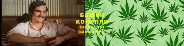трава Арсеньев