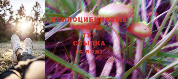 мескалин Аркадак