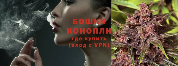 трава Арсеньев
