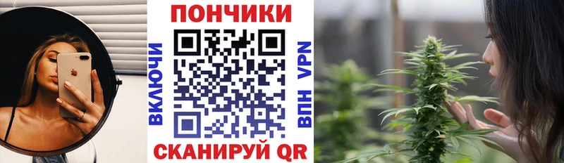 Бошки Шишки планчик  Курганинск 